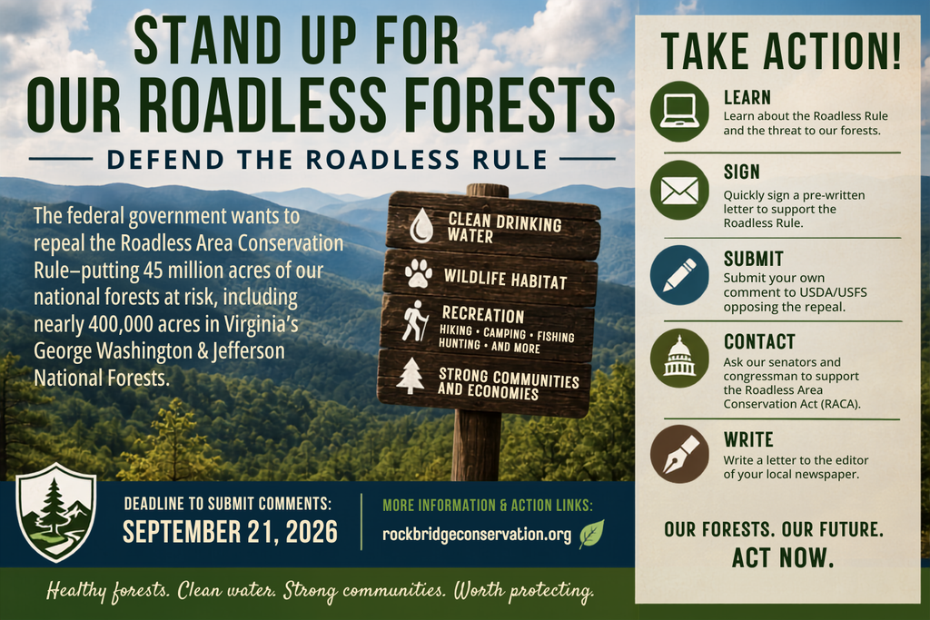 Action Needed: Protect the Roadless Rule